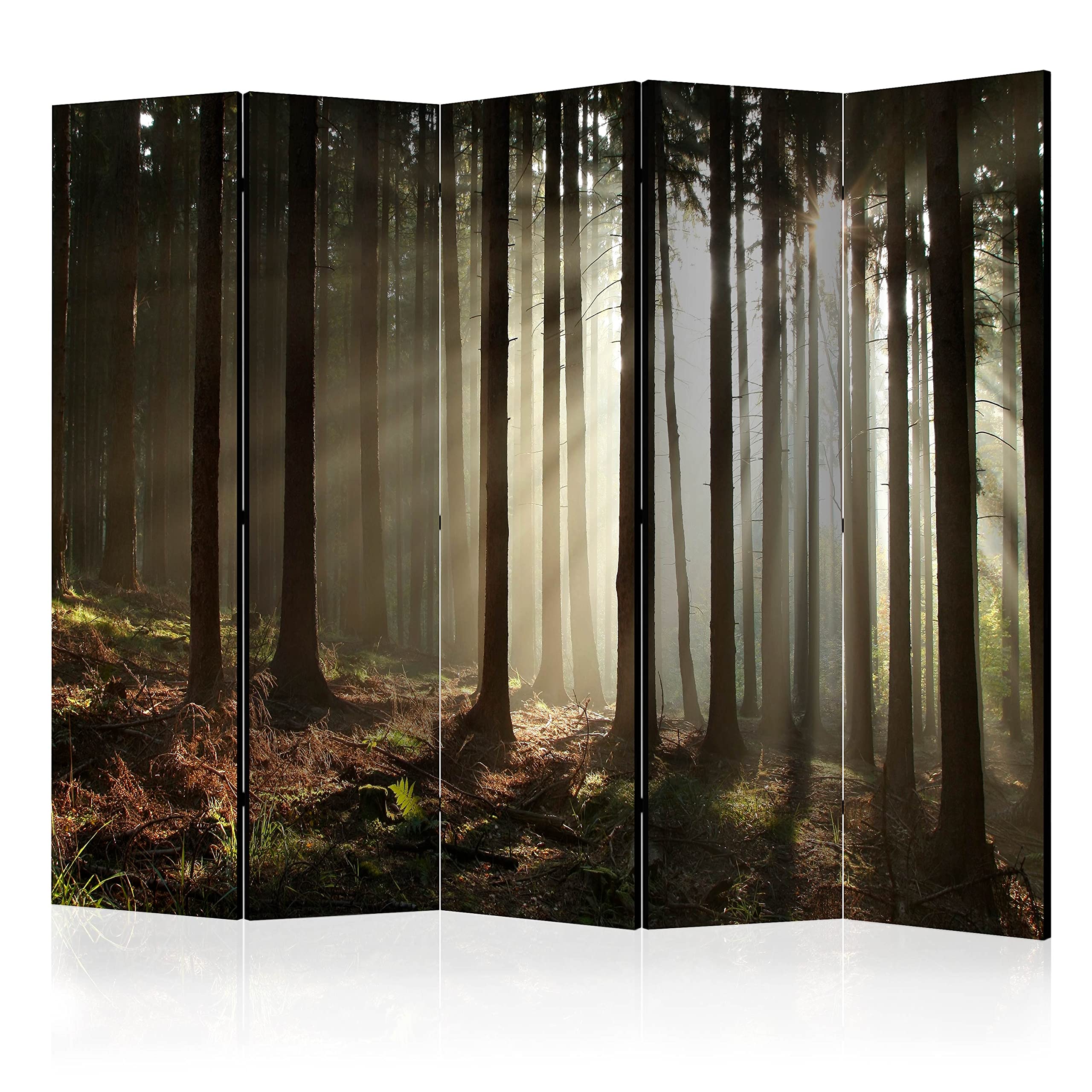 murando Decorative Room Divider Forest 225x172 cm / 89"x68" Double-Sided Folding Screen 5 Panels Room Partition Non-Woven Canvas Print Opaque Photo Display Tree Nature Sun c-C-0272-z-c