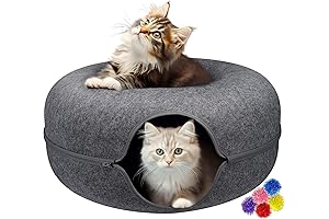 Catasaurus Peekaboo Cat Cave: The Ultimate Hideout for Feline Friends