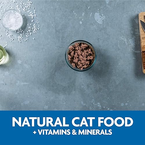 Miniatura 9 de Evolve Comida clásica hecha a mano con receta de pollo para gatos (paquete de 15)