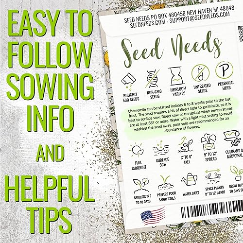 Miniatura 4 de Seed Needs, Colección de paquetes de semillas de manzanilla (semillas de manzanilla romana/alemana para plantar) reliquia, sin OMG y sin tratar