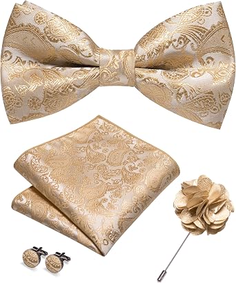 JEMYGINS Paisley Pre-tied Bow Tie and Pocket Square Cufflinks Lapel Pin Sets for Men 4PCS
