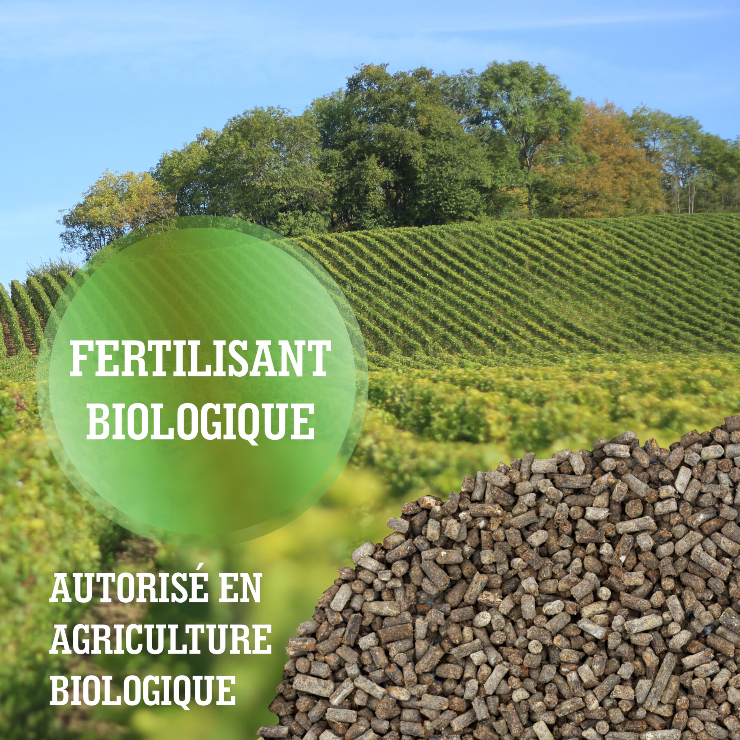 LERAVA® Engrais Rosier et Arbustes à Fleurs (800 g) - Engrais Bio Naturel - Favorise Croissance Vigoureuse et Couleurs Éclatantes - Engrais Rosier Extérieur et Plantes Fleuries - 100% Made in Italy