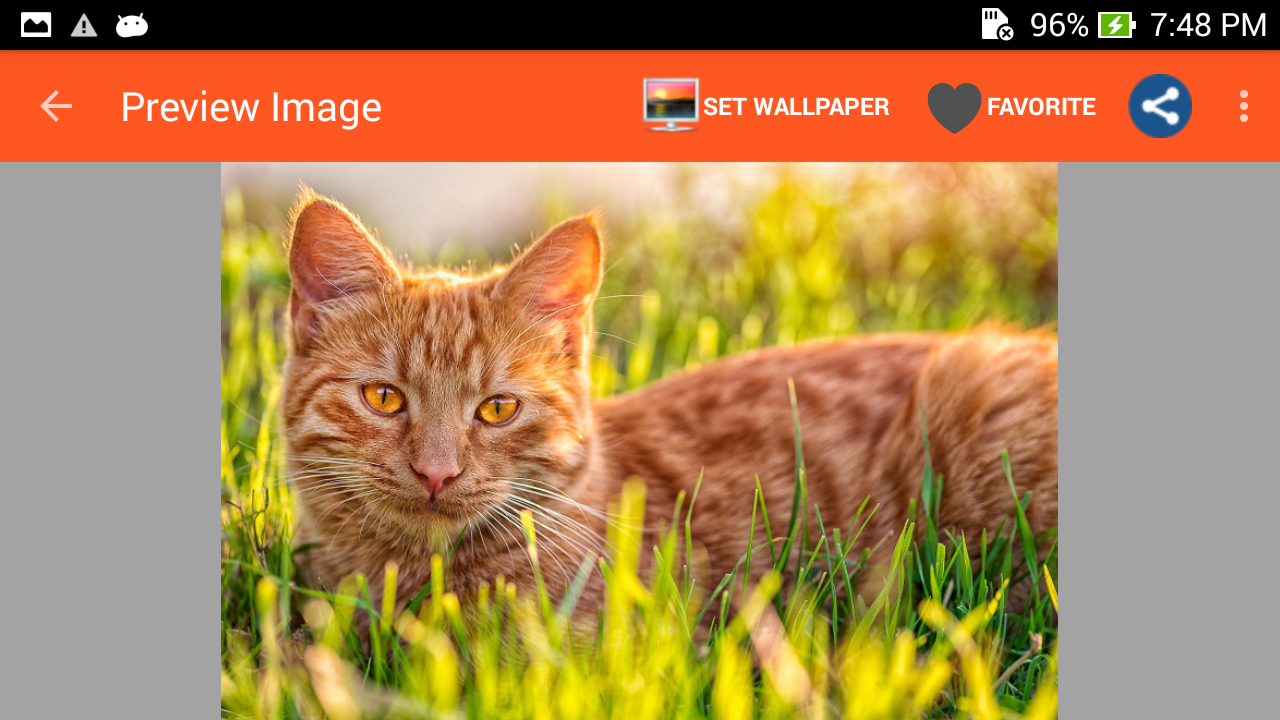 Cute Cat for Android