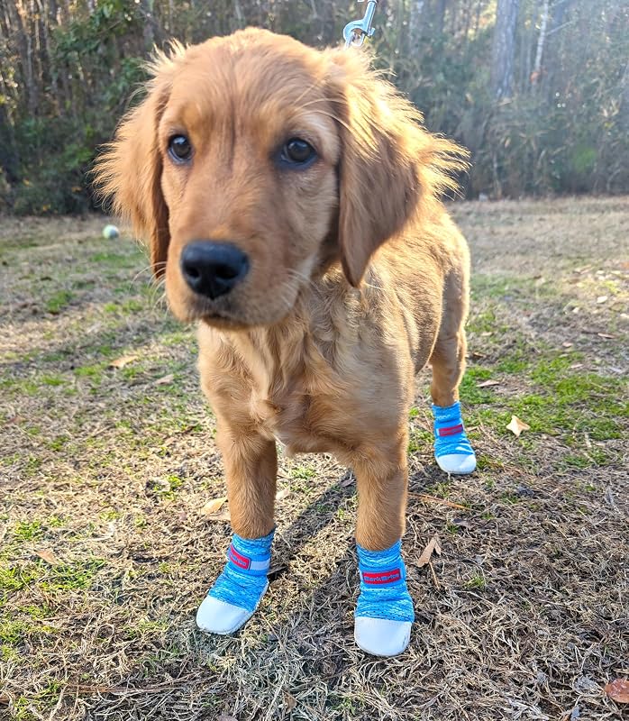 Botas para Cães em Neoprene Leve Bark Brite com Solado Antiperfuração Boat Boot Small, Pacote com 4
