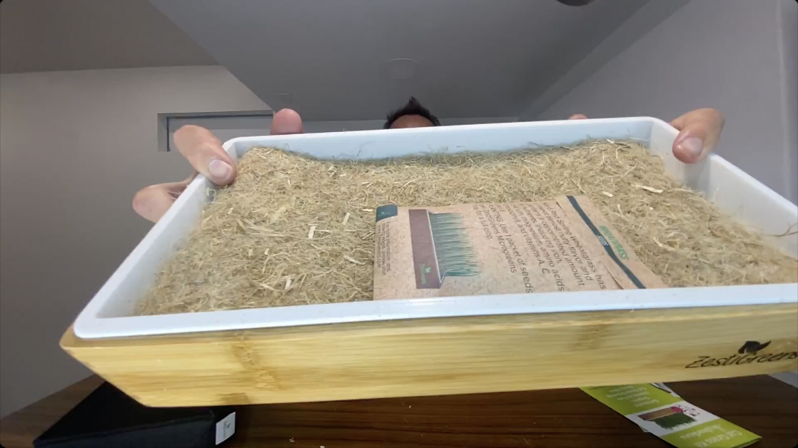 BEST Wheatgrass Grow Kits? | Self-Watering Cat Grass Kit