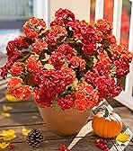 Fake Geraniums Artificial Flowers for Outdoors Fall Autumn Decoration, 6 Bundles Silk Geraniums Look Real Faux Fall Flowers Plants for Front Door Garden Planter Patio Balcony Yard Home Indoor, Mix