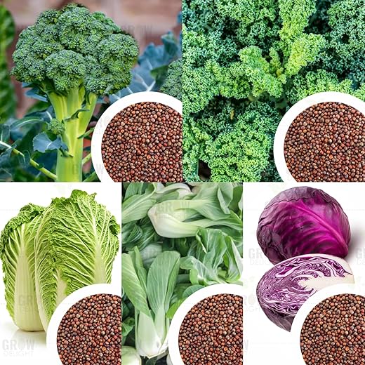 GROW DELIGHT Exotic Gourmet Pack 380 Seeds