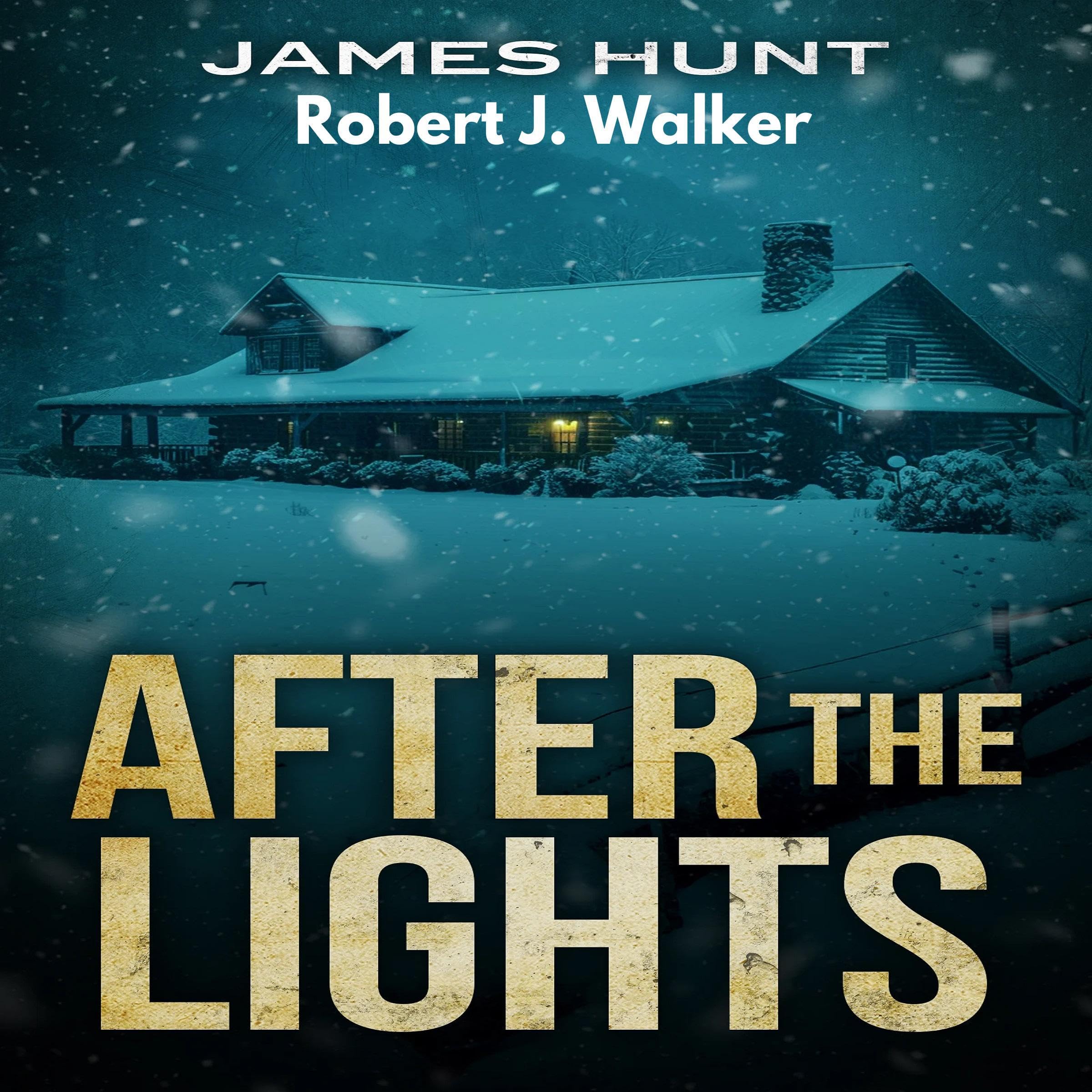 Cover art for After the Lights