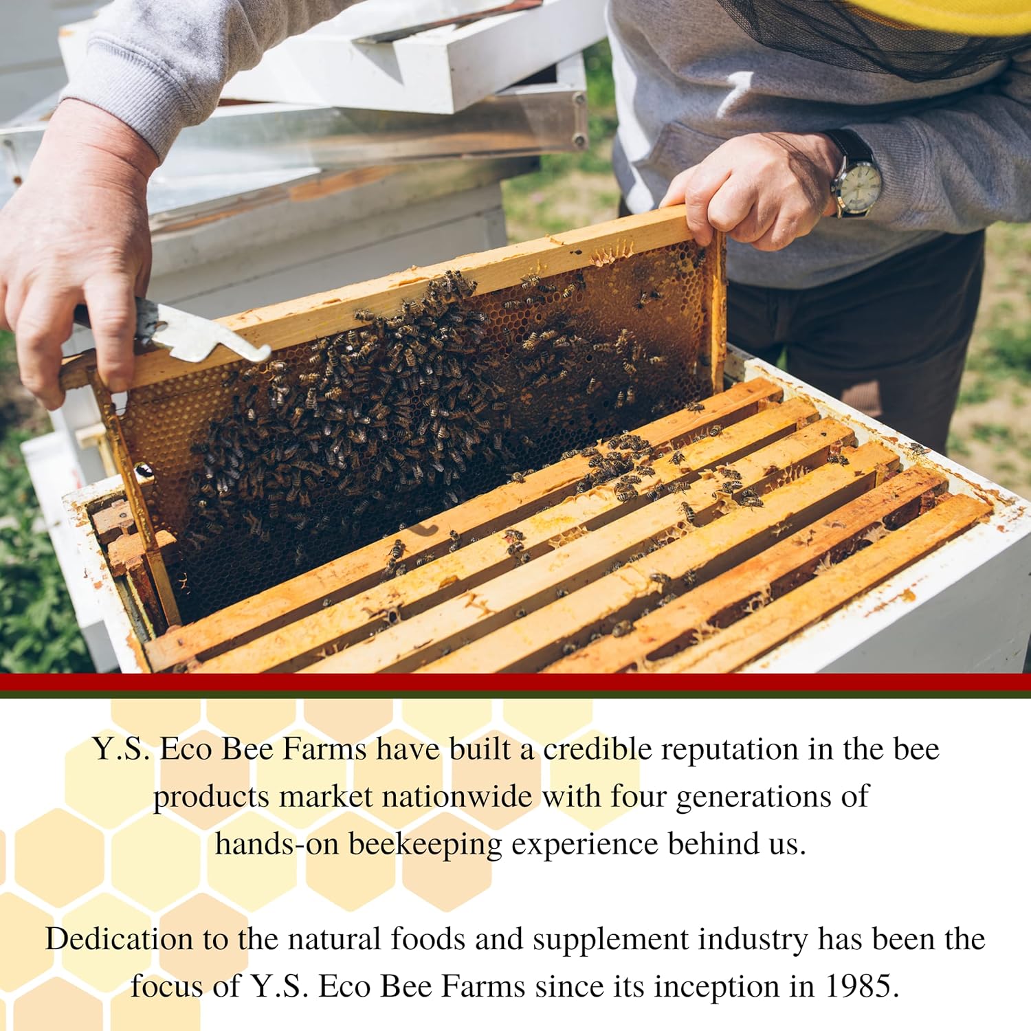 Y.S. Eco Bee Farms, Wholesome Natural Raw Honey, Unpasteurized, Unfiltered, Fresh Raw State, Kosher, Pure, Natural, Healthy, Safe, Gluten Free, Specially Harvested, 3lb - 1 Count with Bonus Key Chain