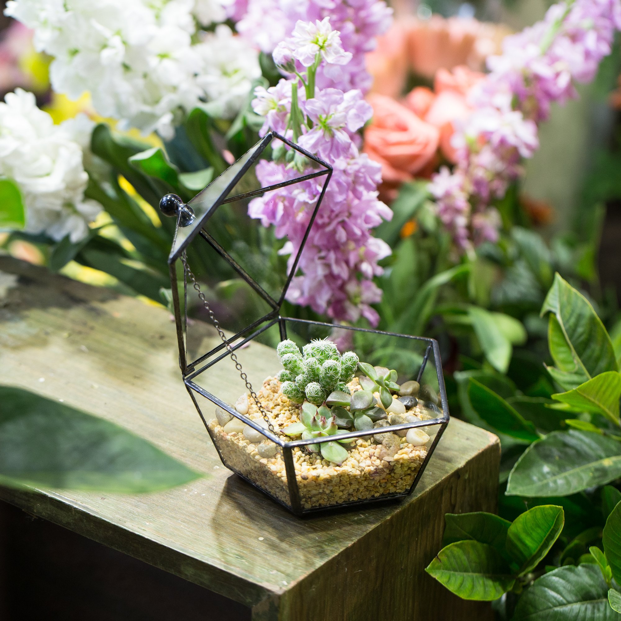 NCYP Small Glass Geometric Terrarium Closed Jewel-Boxed Shape