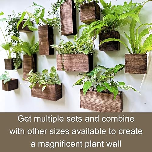 Miniatura 3 de LaLaGreen - Maceta de madera para plantas (paquete de 4) macetas de madera colgantes de pared para plantas de interior, jarrón para flores secas,