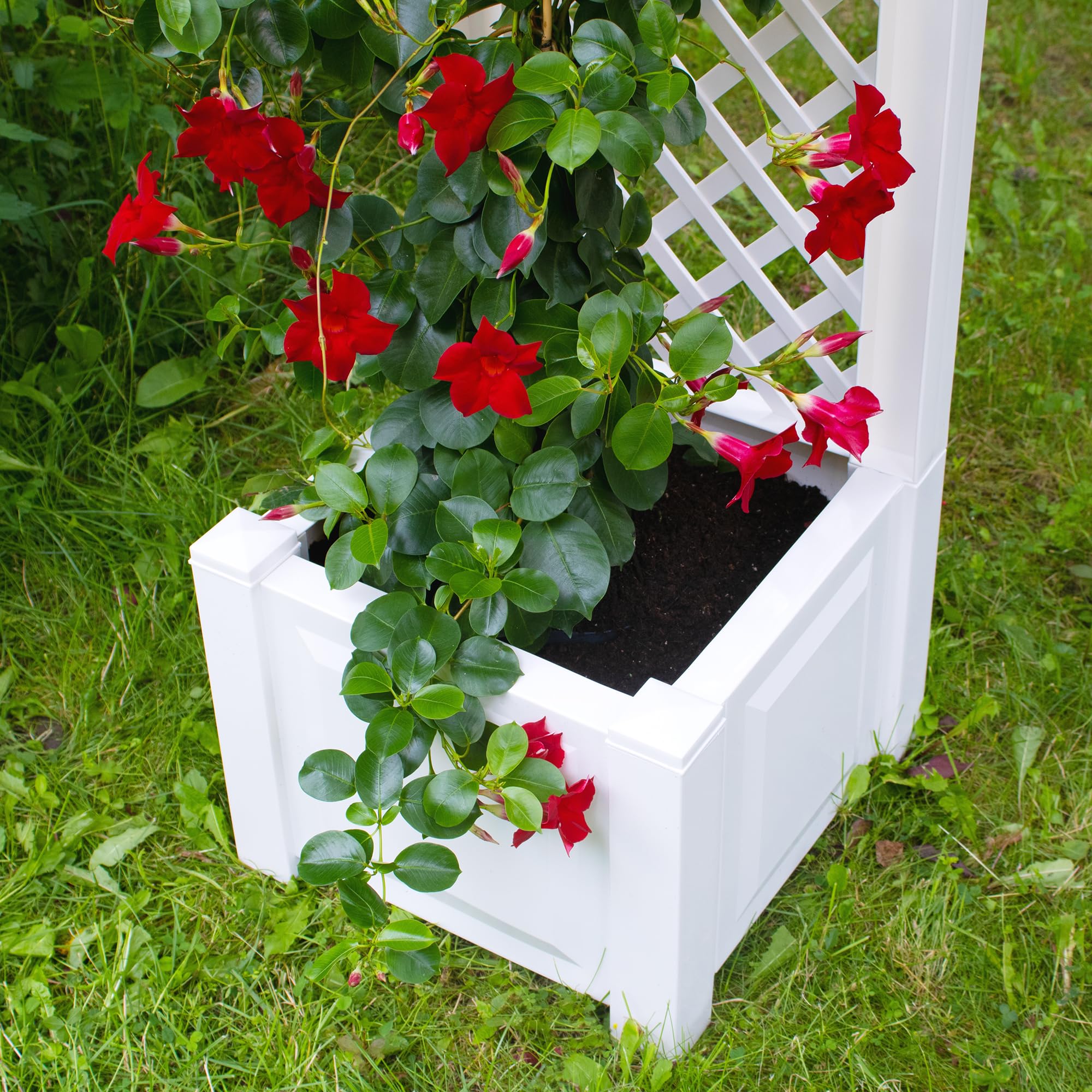 NYVI Pflanzkasten NYVIGreen 43x43x140 cm 44 Liter mit Spalier - Pflanzkübel aus wetterfestem & recyceltem Kunststoff - Blumenkasten - Pflegeleicht, Steckmontage ohne Werkzeug, Farbe:Weiß
