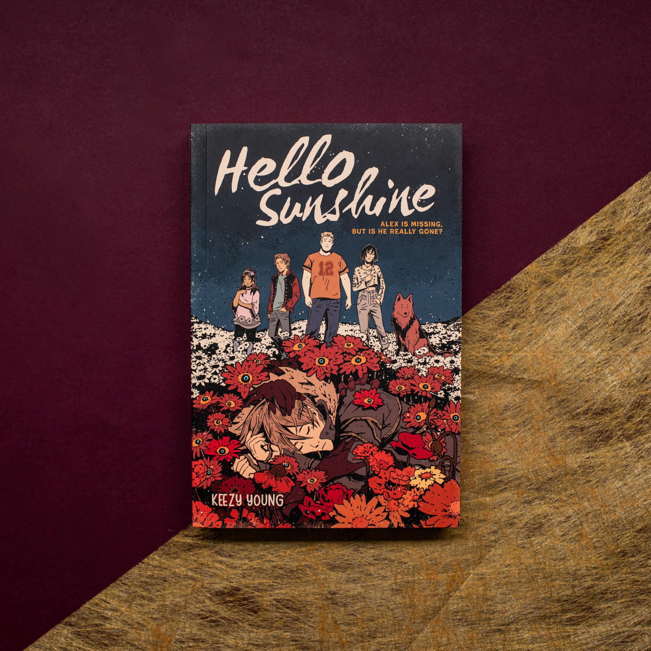 Hello Sunshine (A Graphic Novel)