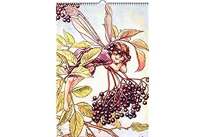 2025 Wall Calendar Flower Fairies [12 pages 8&quot;x12&quot;]