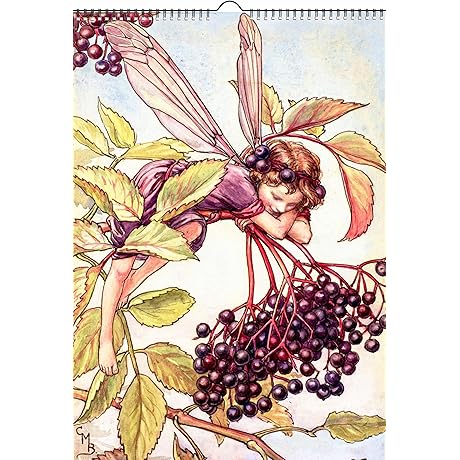 2025 Wall Calendar Flower Fairies [12 pages 8&quot;x12&quot;]