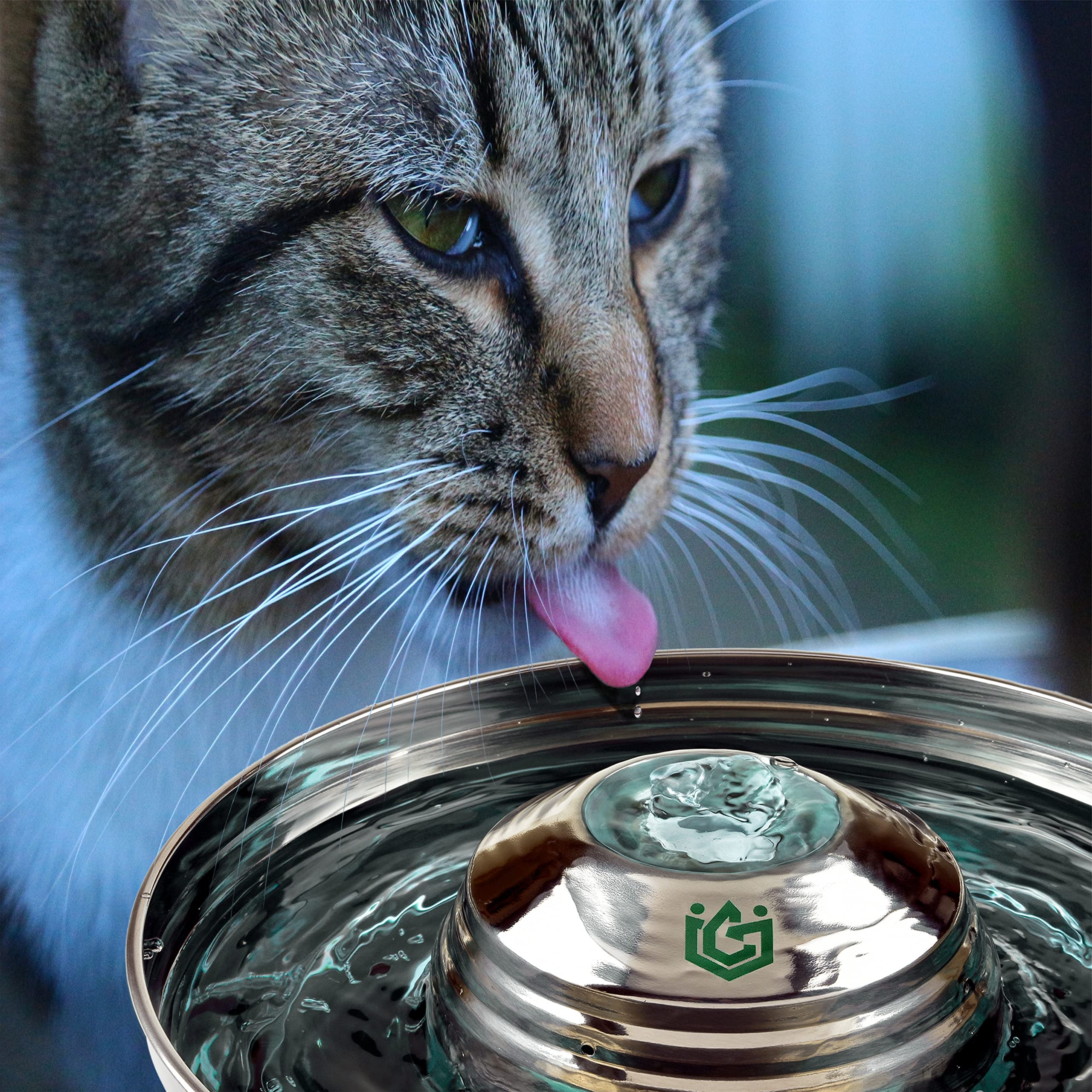 Stainless Steel Cat Water Fountain – 67Oz Cat Fountain Water Bowl with  Water Filters – Automatic Pet Water Fountain for Dogs and Cats – Pet  Drinking