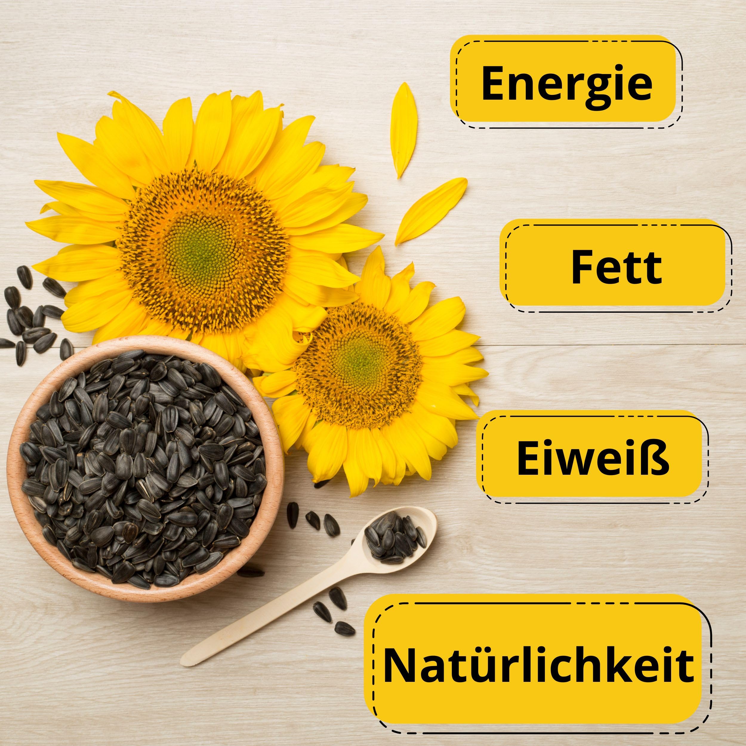 30kg Sonnenblumenkerne Schwarz für Wildvögel – Ganzjahres Vogelfutter, natürliche Energiequelle, Premium Qualität, ideal für Futterhaus & Futterspender, Vögel lieben es