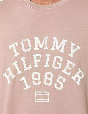 Tommy Hilfiger Men's Hilfiger Arch Tee Mw0mw41470 S/S T-Shirt (Pack of 1)