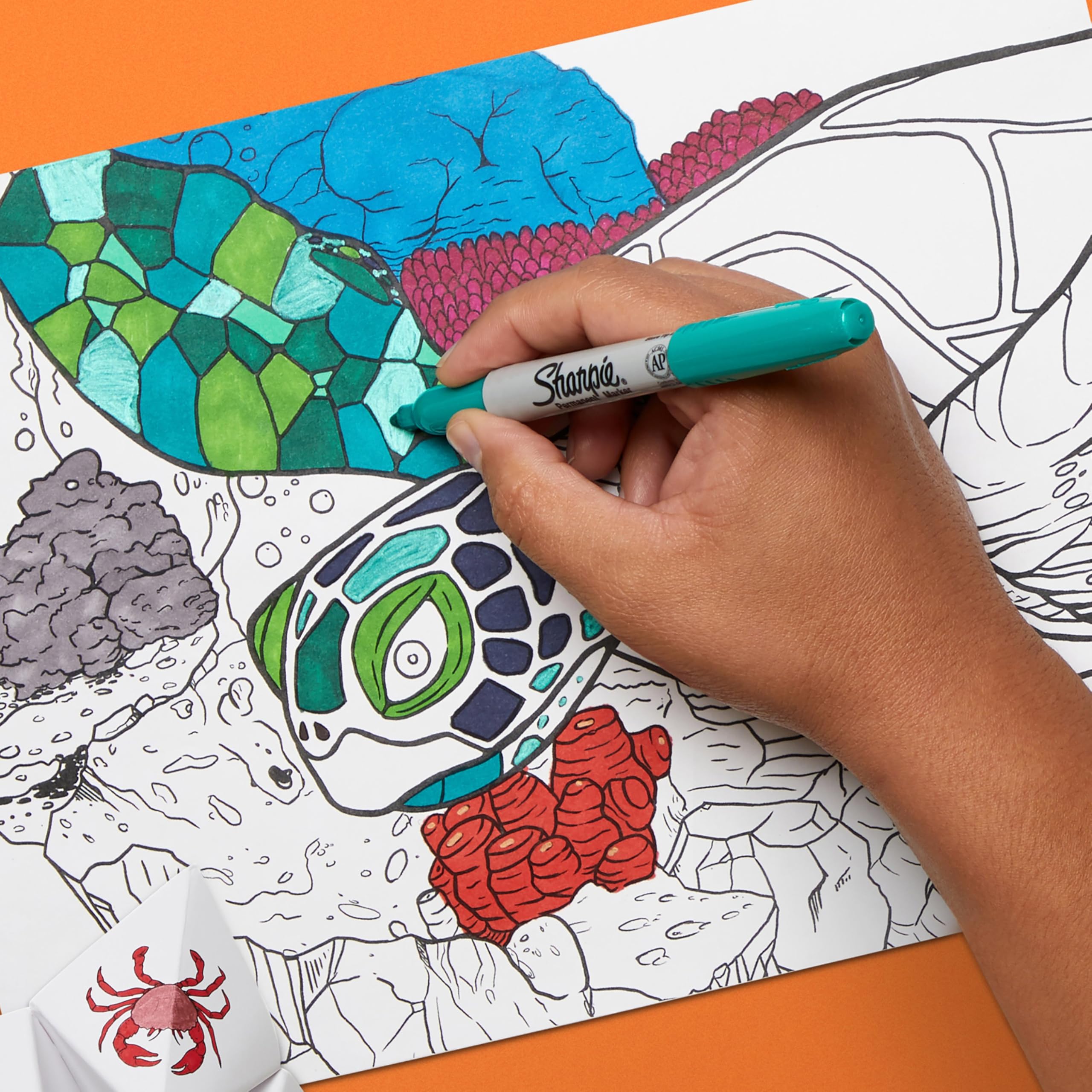 Sharpie Permanente Marker Geschenkset | Feine & Ultrafeine Spitze Malstifte | gemischte Farben | Enthält 2 Malvorlagen | 27 Marker