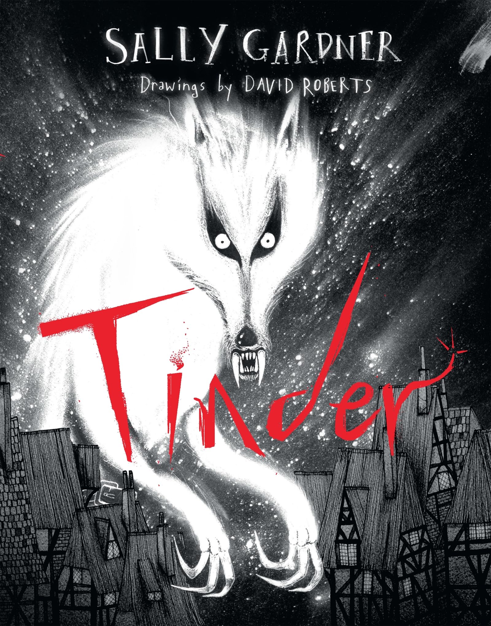 Sally Gardner Tinder Hardback Book