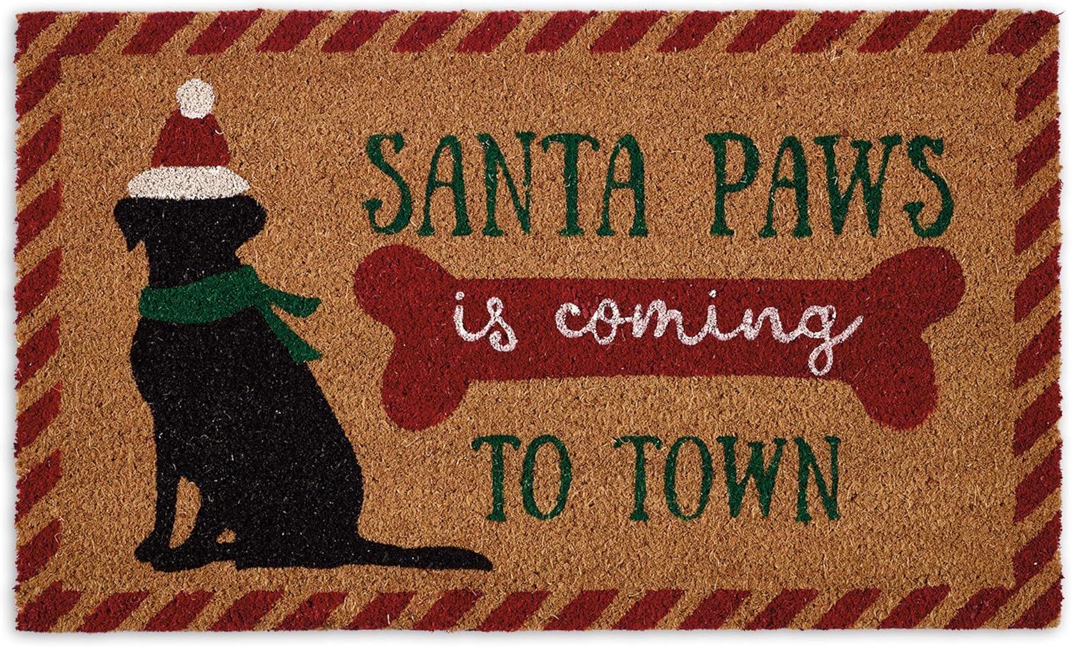 DII Christmas Coir Door Mat Outdoor Cat & Dog Themed Doormat for Animal Lovers, 17x29, Santa Paws