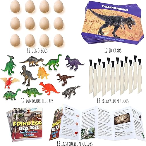 Miniatura 6 de DANCING BEAR Kit de excavación de huevos de dinosaurio para 12 niños, excavar 12 dinosaurios sorpresa, guías de instrucciones y tarjetas de