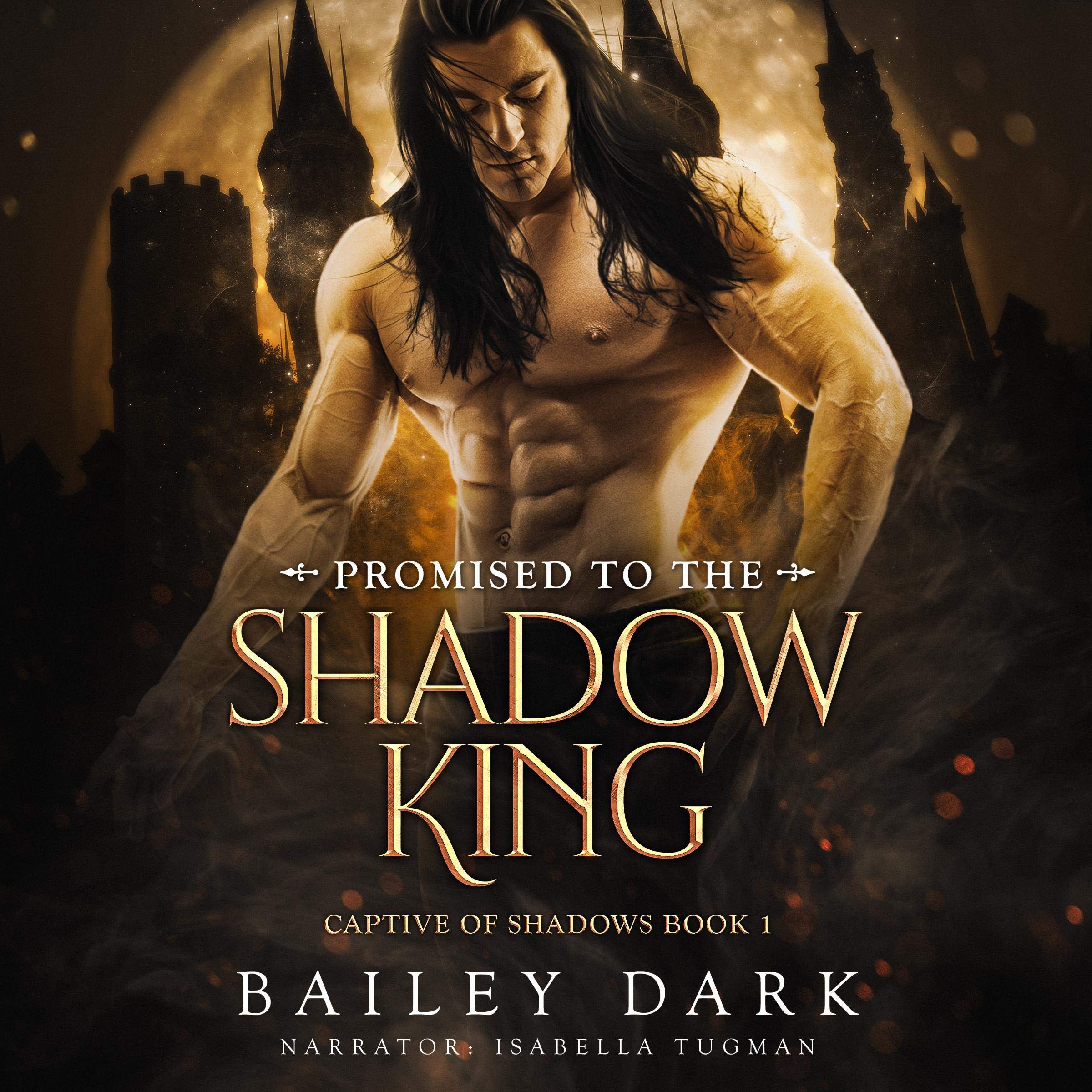 Cover art for Promised to the Shadow King