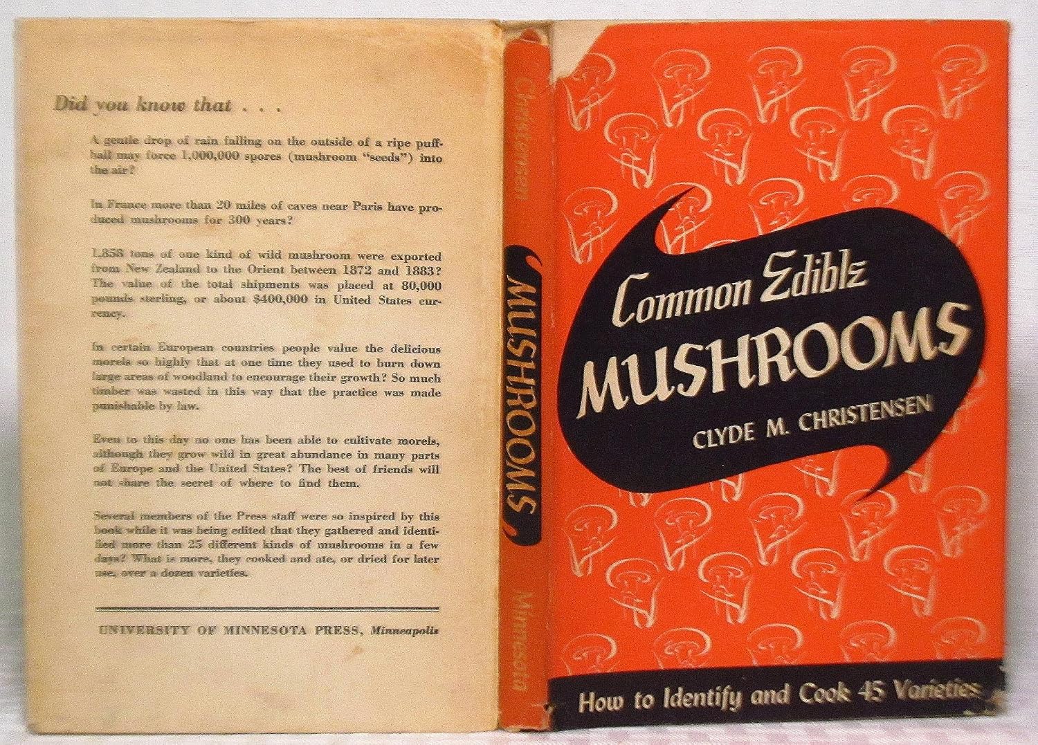 Common Edible Mushrooms