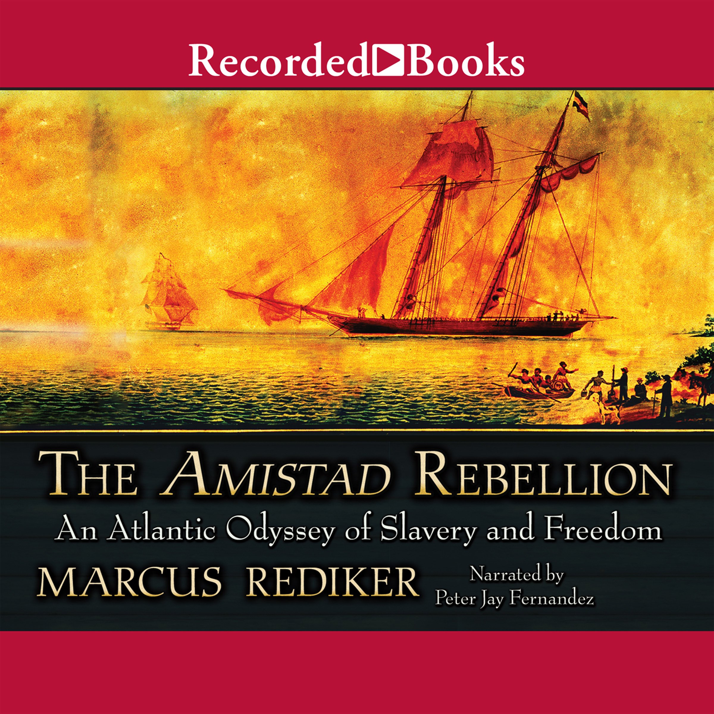Cover art for The Amistad Rebellion