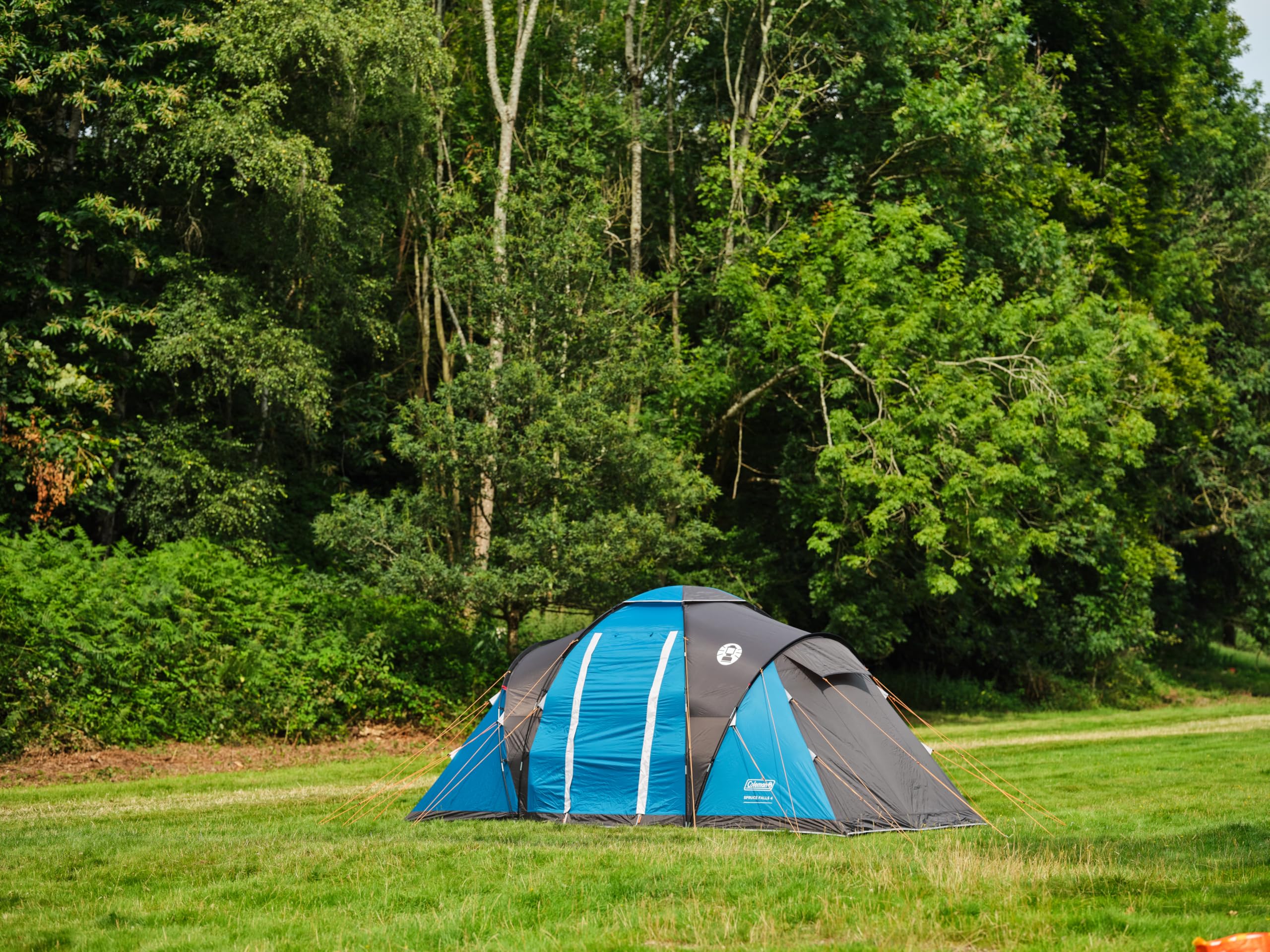 Coleman Spruce Falls 4 Tienda de campaña familiar Vis-a-Vis para 4 personas con 2 dormitorios y sala de estar de tamaño XXL opuestos | Tienda de campaña para 4 personas | Impermeable de 3000 mm |