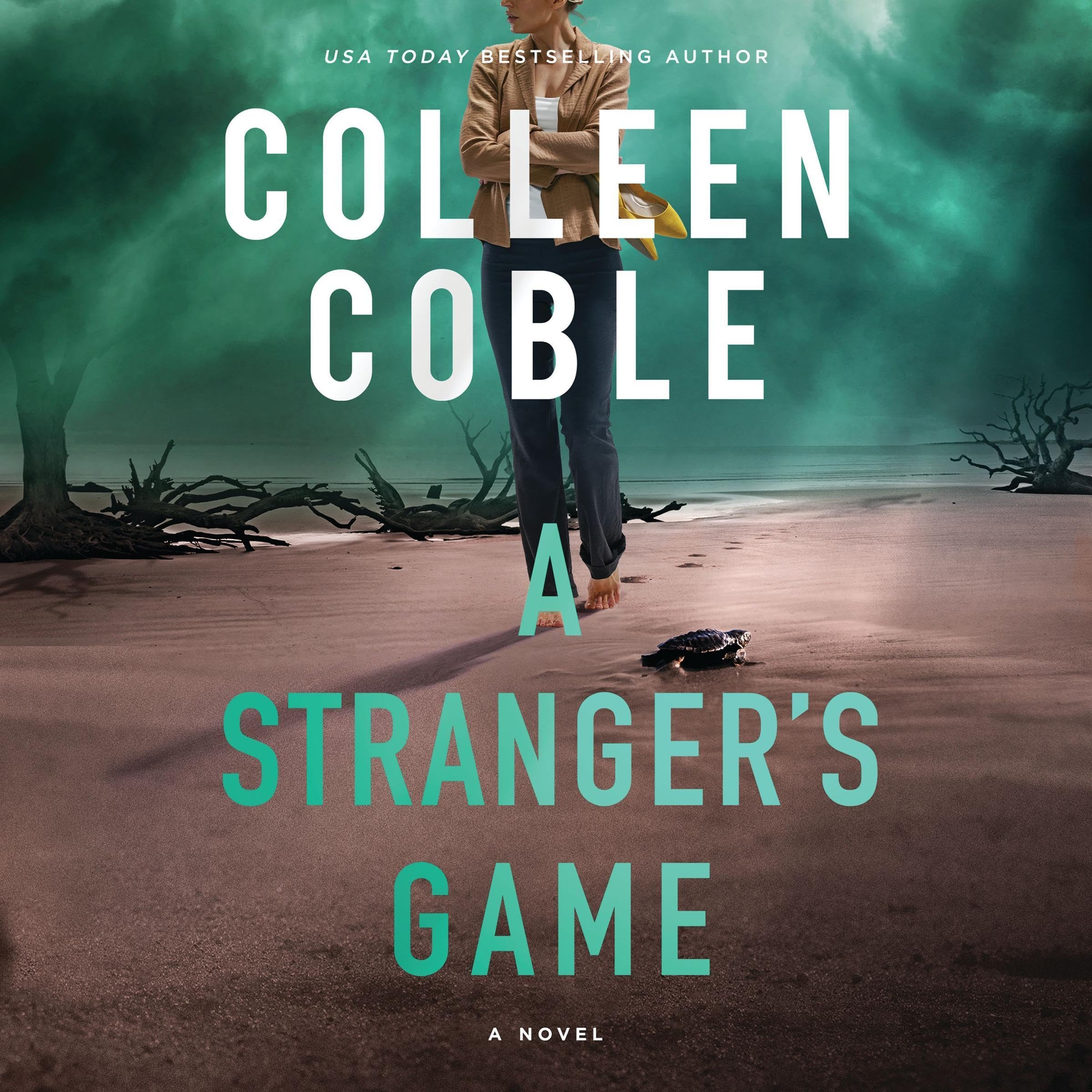 Cover art for A Stranger's Game
