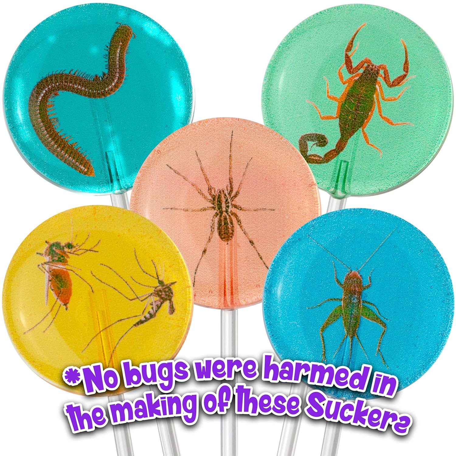 Boone's Mill Bug suckers - Realistic Looking Insect Lollipops Sugar-Free Creepy Crawly Candy