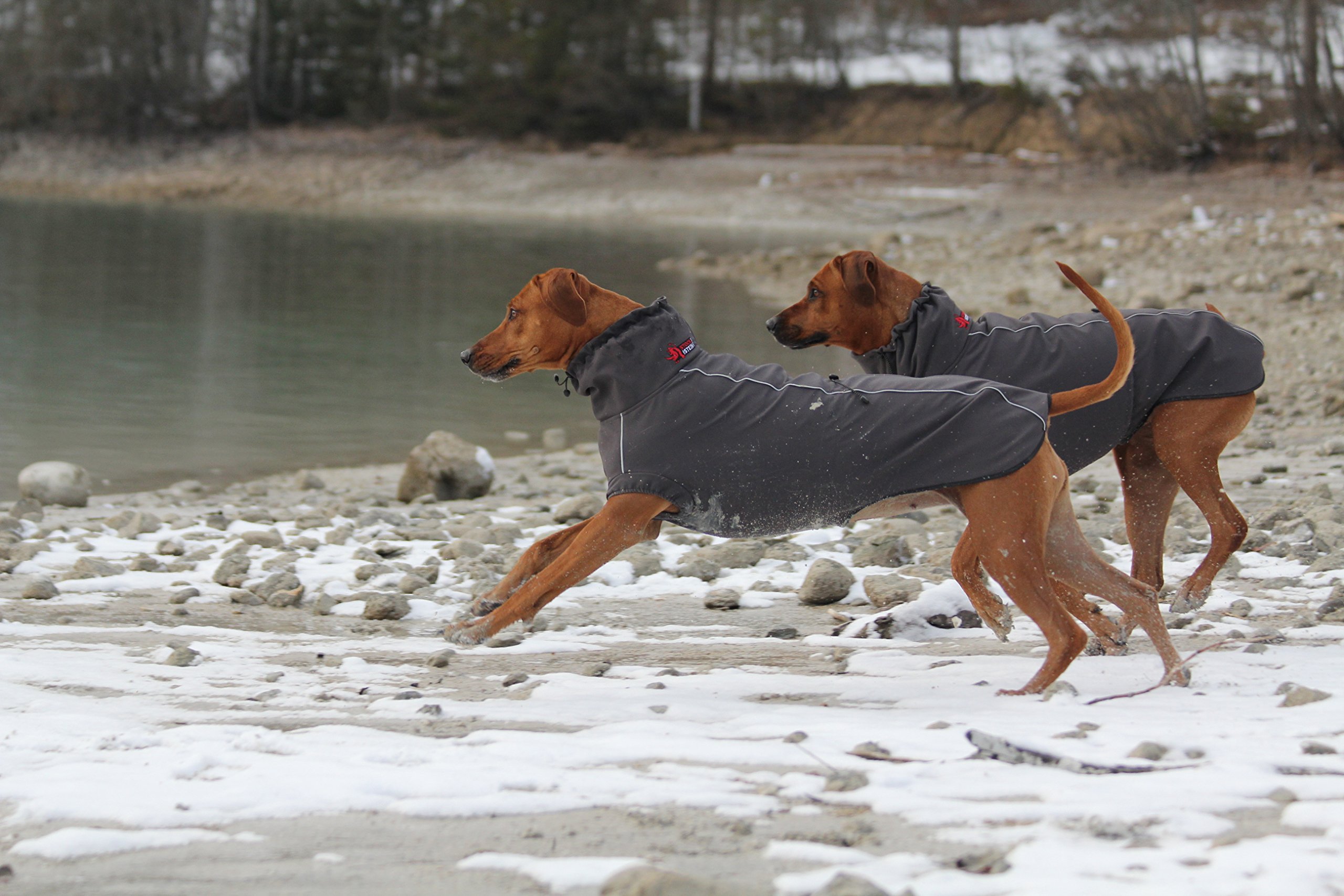 STOCK+STEIN WEAR Windmaster Phantom, L+ : Amazon.de: Haustier
