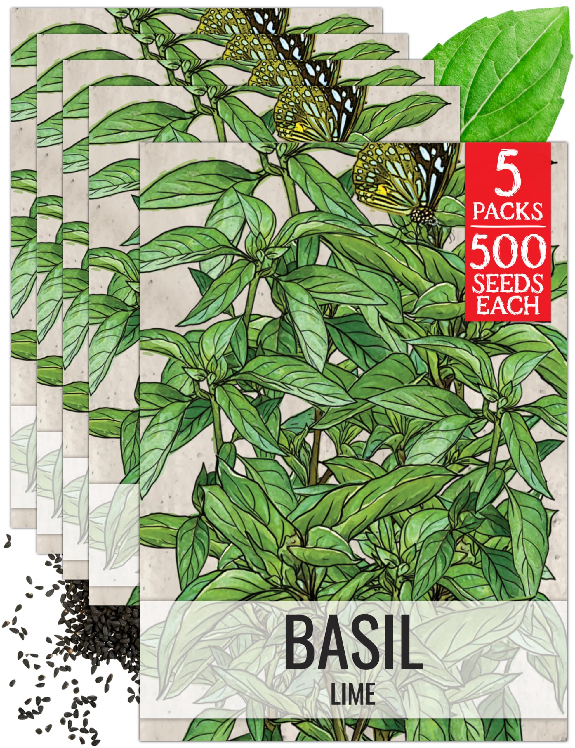 Seed Needs Lime Basil Seeds Packets