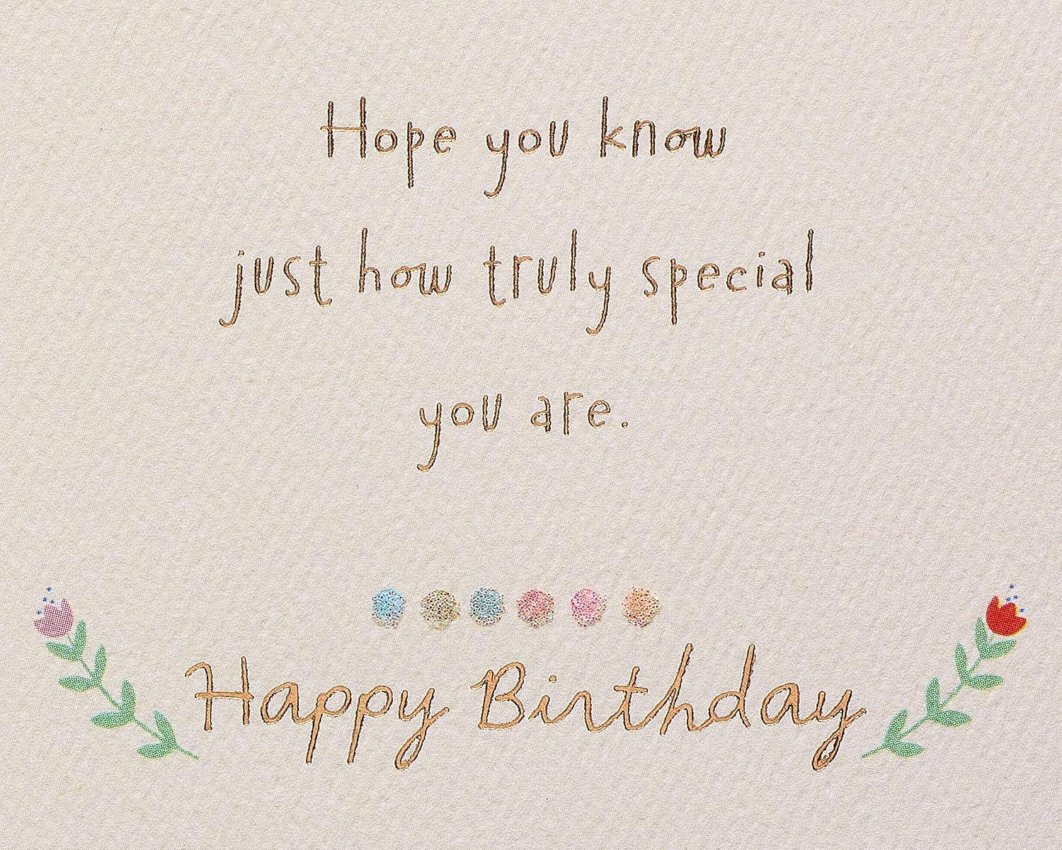 American Greetings Birthday Card for Granddaughter (No One Else Like You)