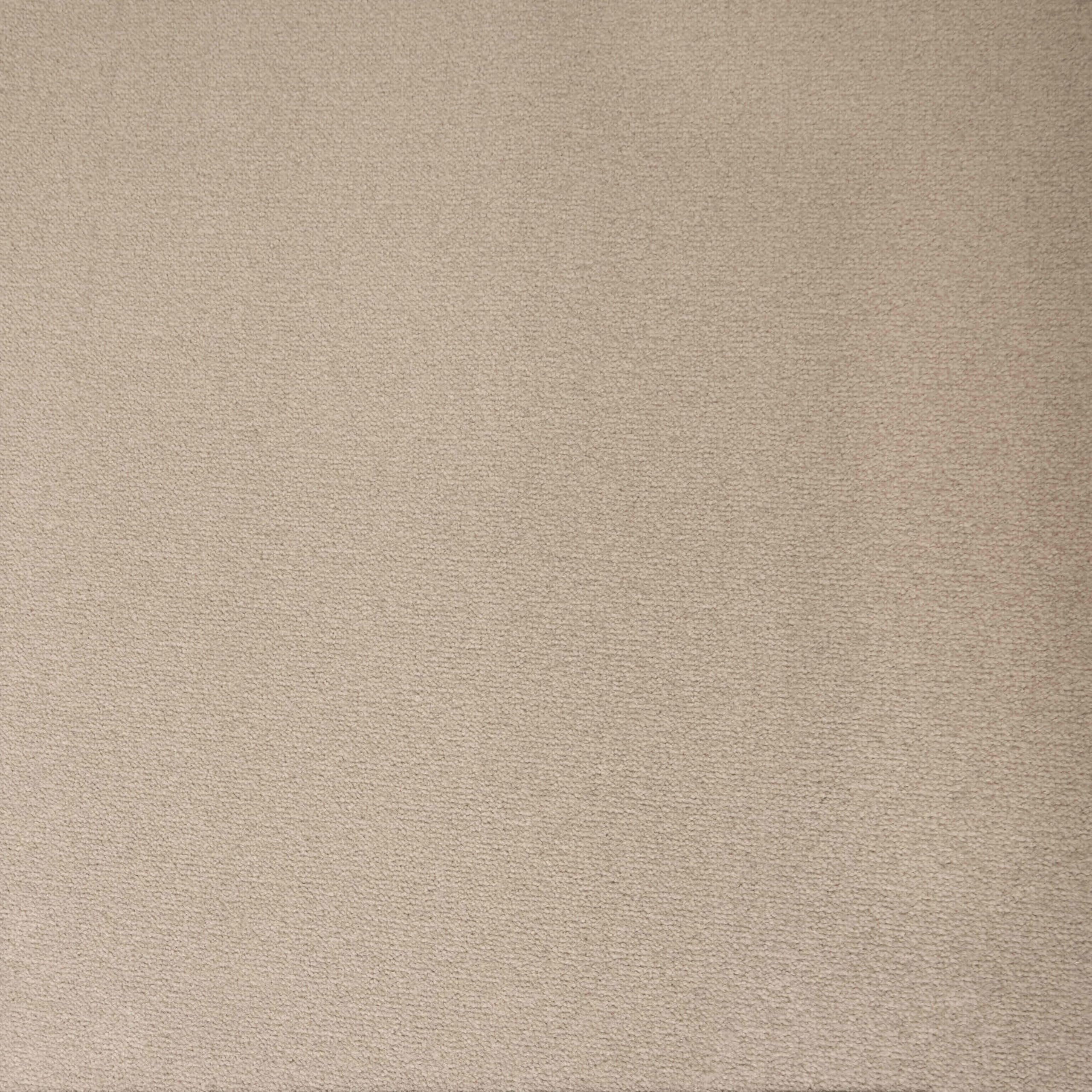 Underfoot Felt-Backed Carpet - Durable Twist Pile Carpet Bleach-Cleanable & Stain-Resistant | Easy Fit DIY Friendly Carpets (Cream, 5m x 4m)