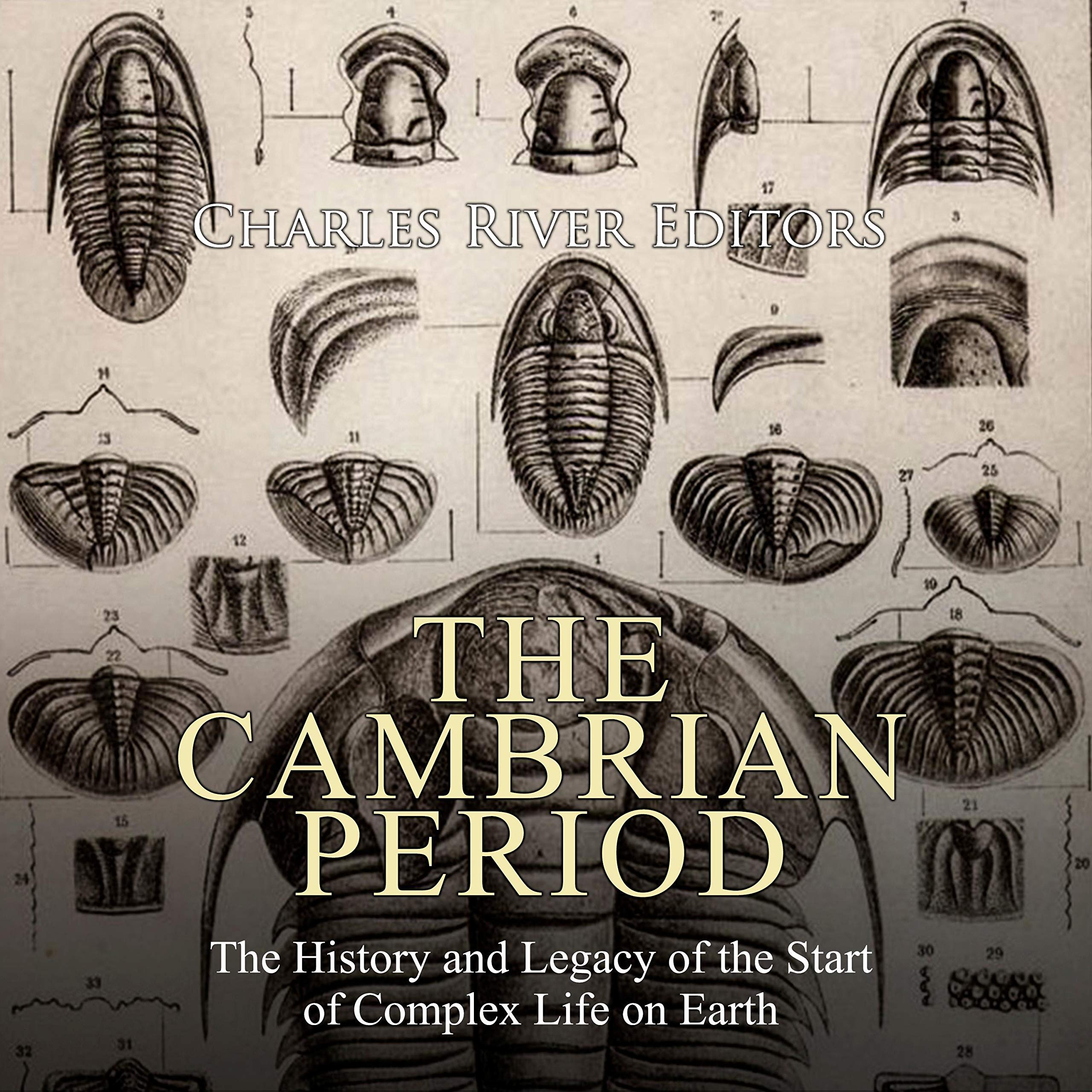 Cover art for The Cambrian Period