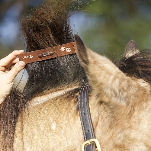 Miniatura 4 de CreaClip CreaPet - Kit silencioso de aseo para perros y gatos, caballo y mascotas, clip de aseo de mascotas de bajo ruido inalámbrico para mascotas
