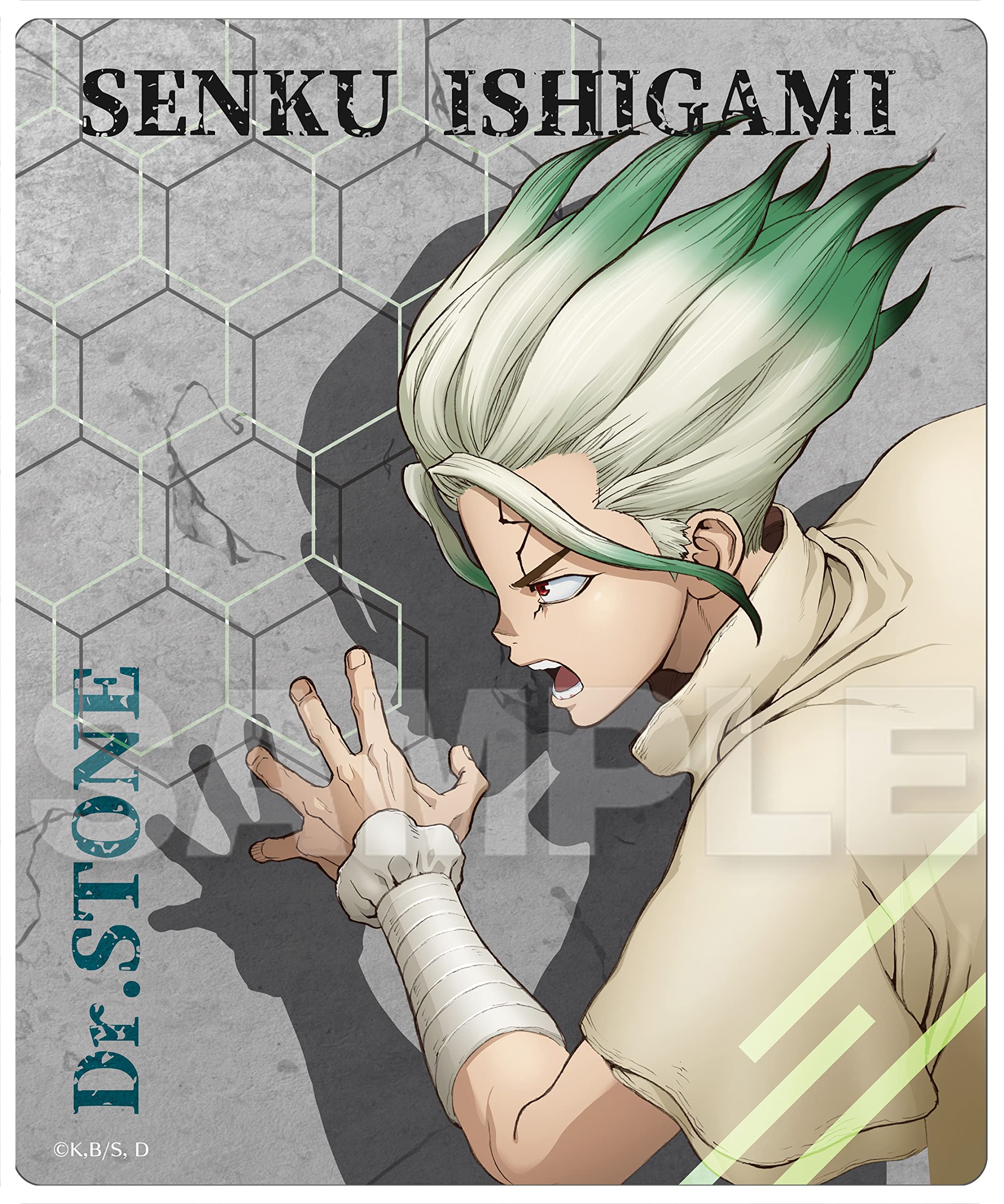 Amazon.co.jp: Dr.STONE 石神千空 マルチラバーマット : おもちゃ