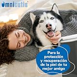 Ver la foto 2