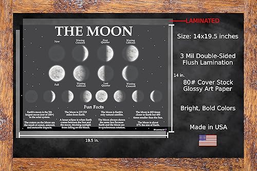 Miniatura 3 de Póster de fases lunares con hechos divertidos, laminado de 14 x 19.5 pulgadas, gráficos educativos, póster y decoración de aula, suministros de