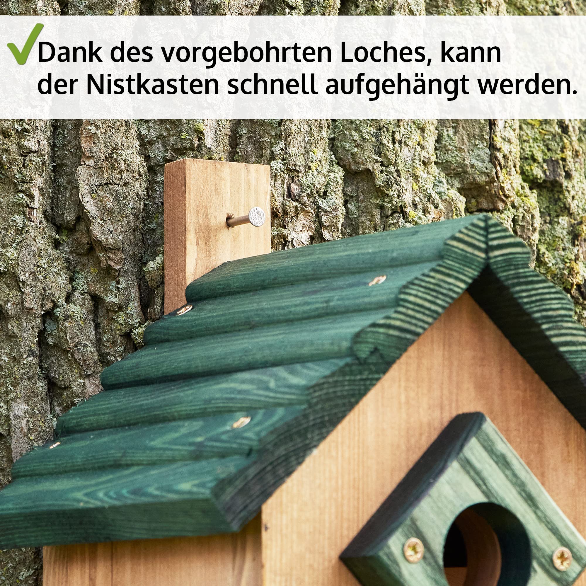 zooprinz Stabiler Nistkasten für Wildvögel/Gartenvögel mit sicherem Schutz gegen Nesträuber – witterungsbe-ständig und langlebig für draußen – 2 Farben zur Wahl - Nistkasten