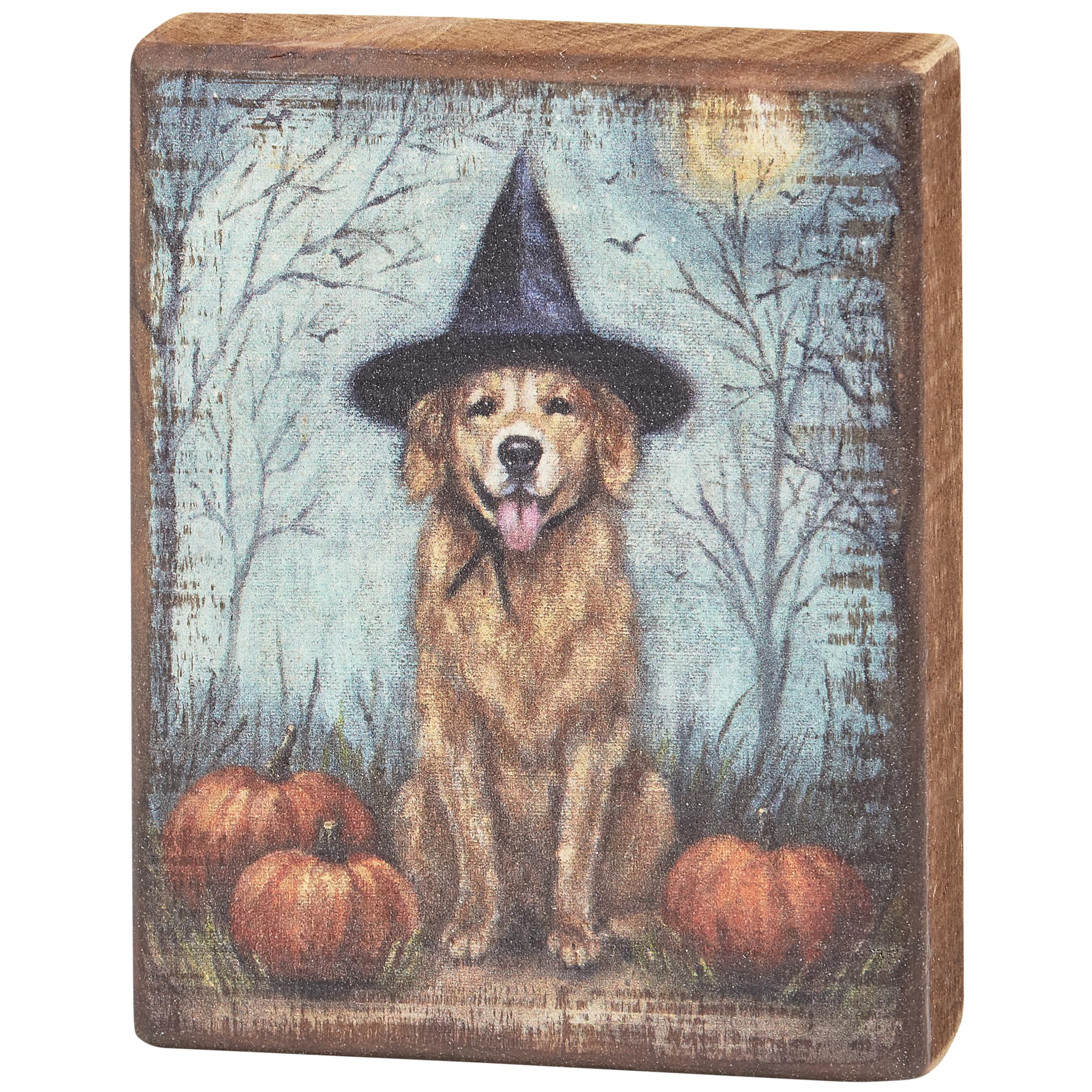 Primitives by Kathy Home Décor Sign - Dog As A Witch Block