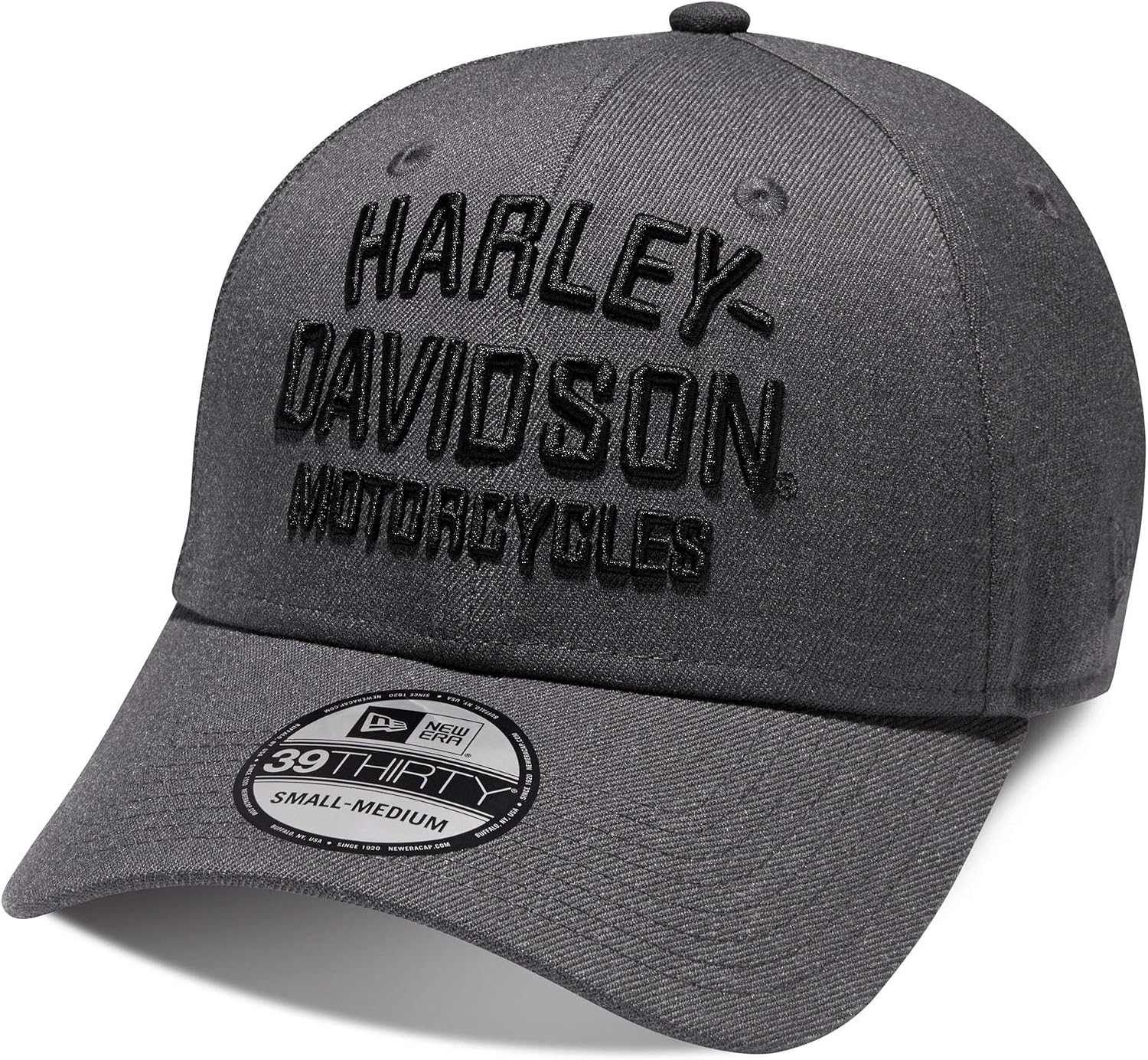 Harley-Davidson Men's Graphic 39Thirty 