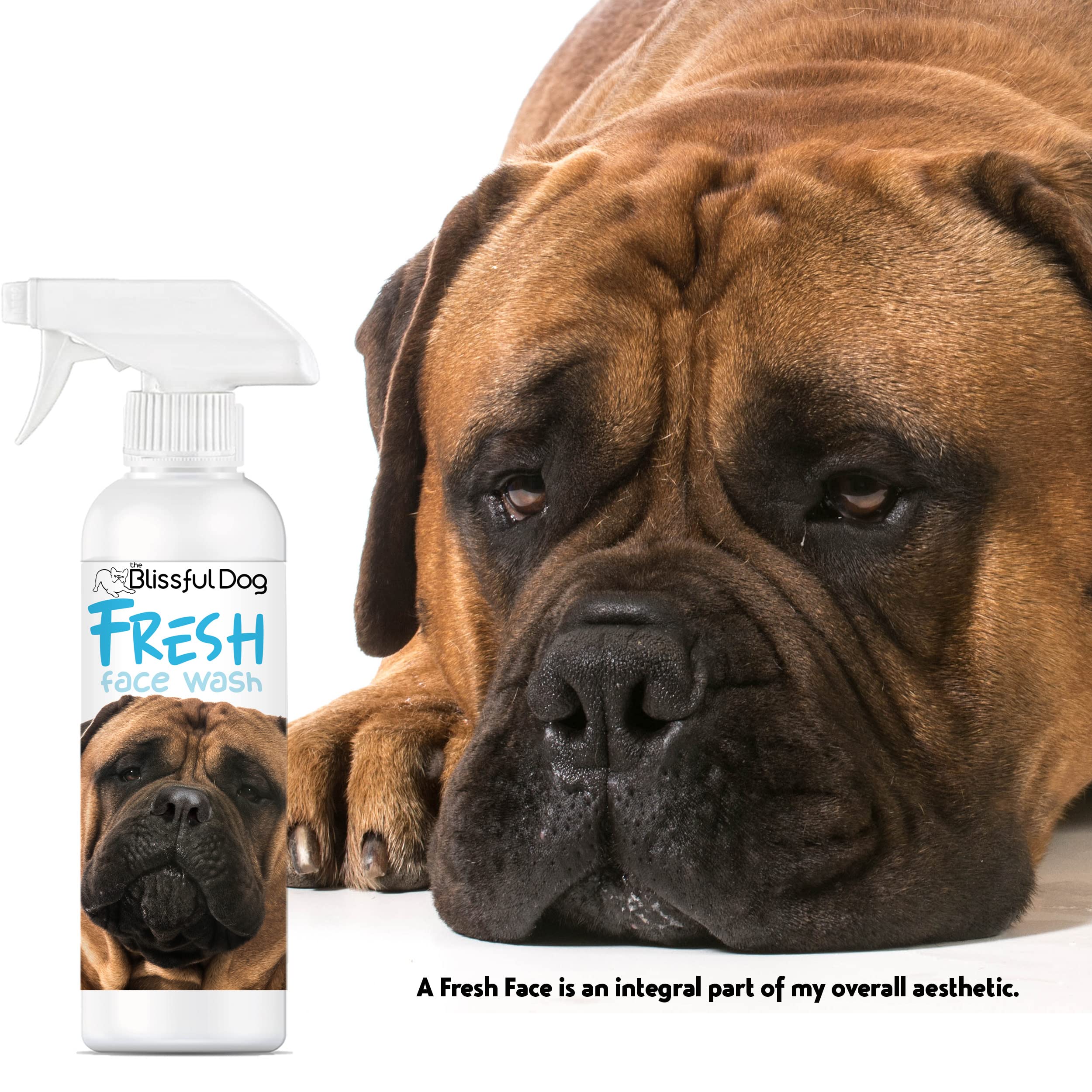 Should I Wash My Dogs Face