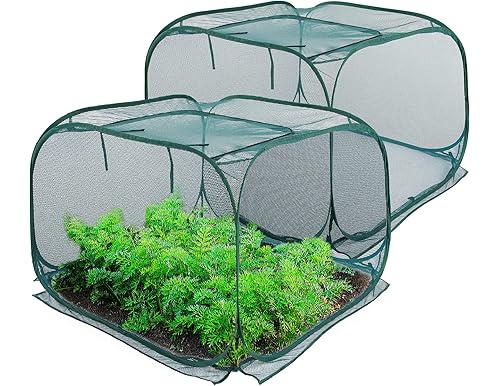 Best Pop Up Plant Protectors For 2024