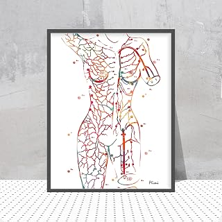 Plastic Surgery Reconstruction Wall Art Anatomy Art Blood Supply Of The Skin Poster Female Body Perfotator Flaps Map Imap Diep Surgery Poster Print Wall Décor,63