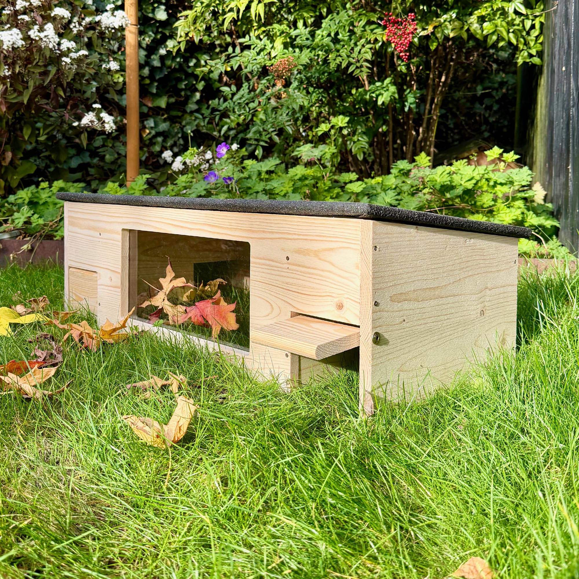 GARTENETAGE Igelfutterhaus XXL mit Panorama-Beobachtungsfenster, Rattenklappen & Fluchtweg – wetterfestes Igelhaus aus zertifiziertem Holz – nachhaltiger Schutz & Beobachtung im Garten
