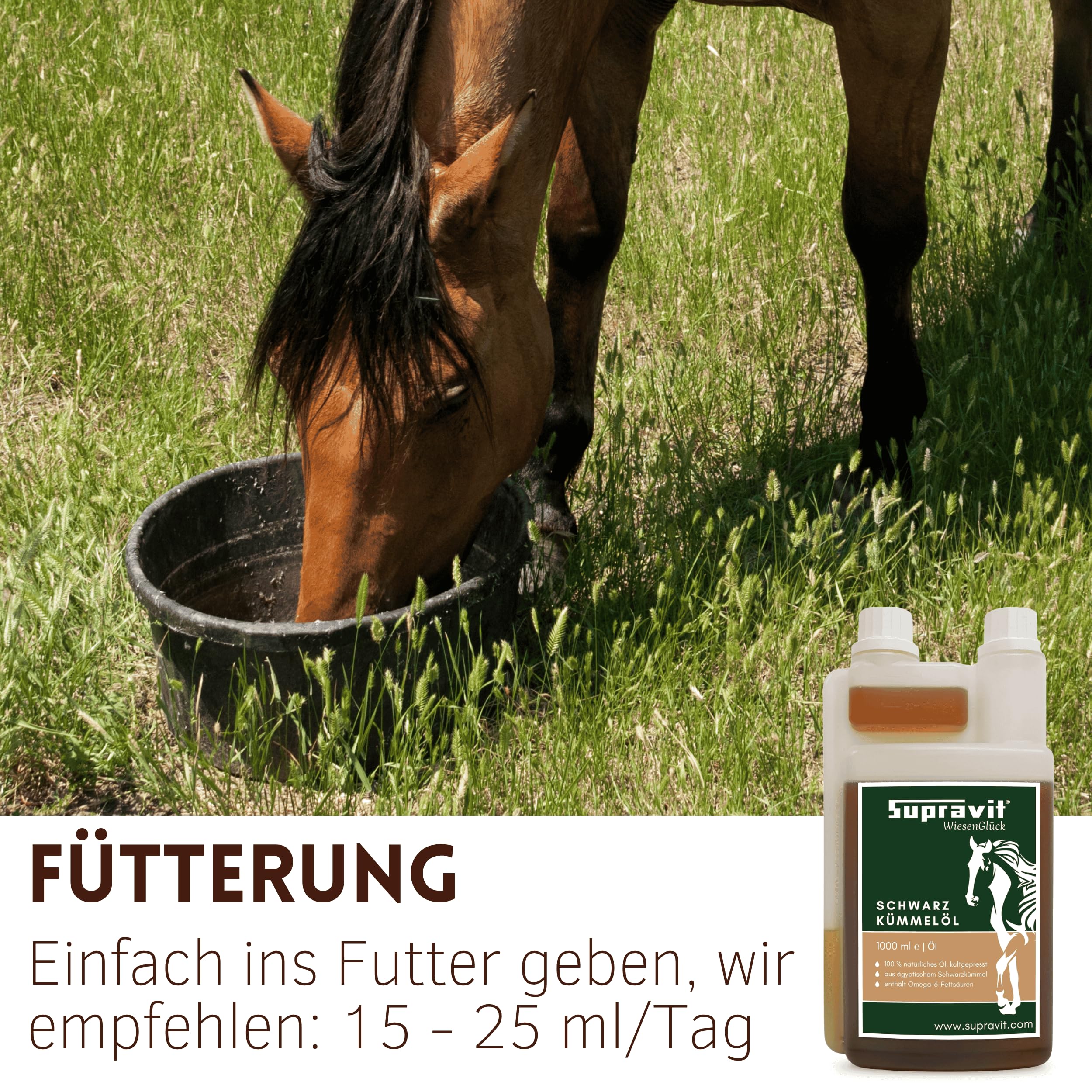 Supravit Schwarzkümmelöl für Pferd & Hund 1L