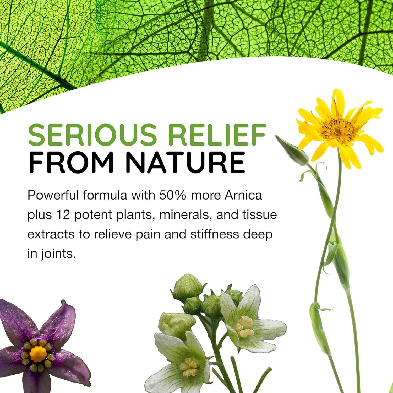 T-Relief Extra Strength Arthritis Cream Arnica +12 Pain Relieving Natural Medicines Help Soothe Soreness Stiffness Aches & Pains in Joints Naturally - 3 oz - Image 5